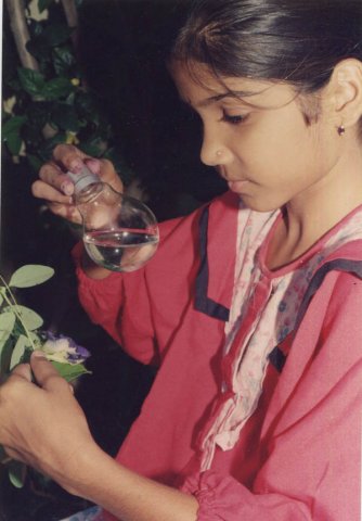 जुगाडू सूक्ष्मदर्शी