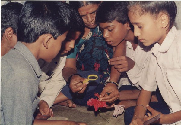 फूल और फल