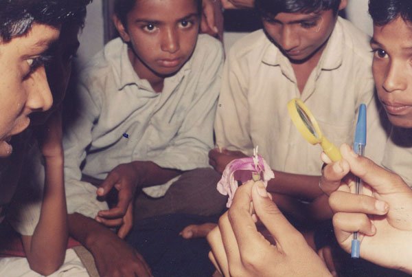 फूल का अवलोकन